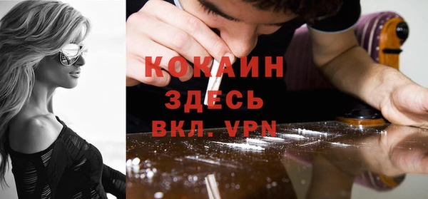 твердый Богородицк