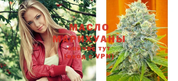 мдпв Богородск