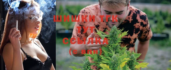 мескалин Богданович