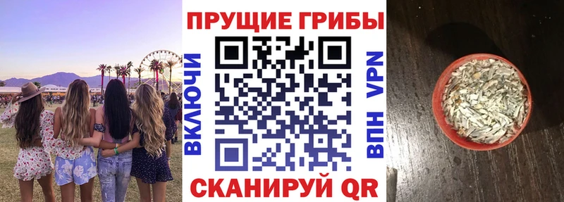 Псилоцибиновые грибы Cubensis  Кодинск 